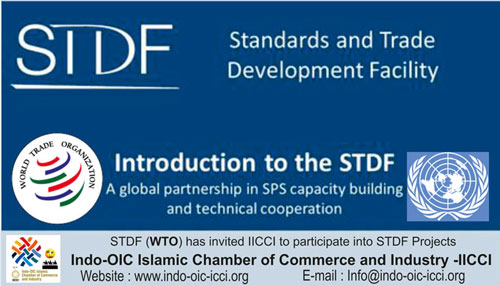 STDF - WTO with IICCI